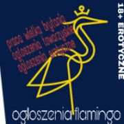 flamingoescortz