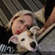 HARLEY21