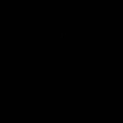 illdiko-nagy