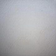 Tamaraa00