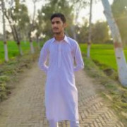 usman8174