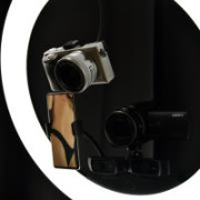 WhiteLionStudioKecskemet